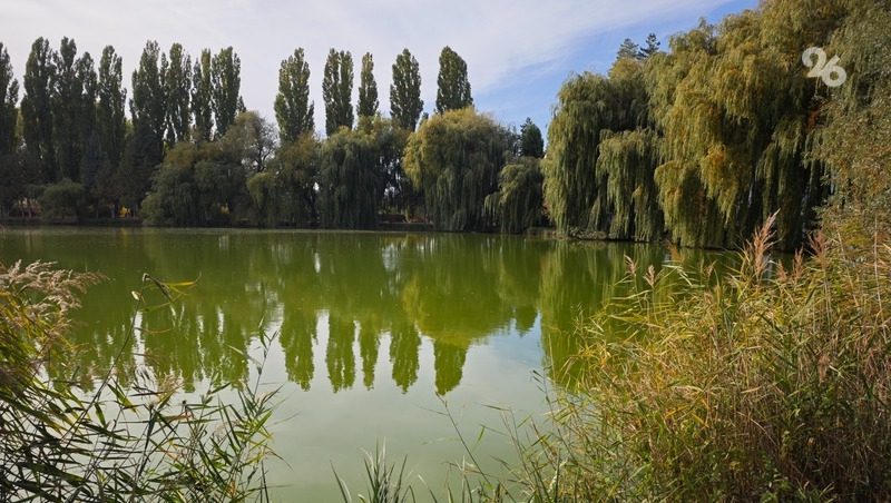 Несколько ставропольцев погибли во время отдыха на водоёмах до начала сезона