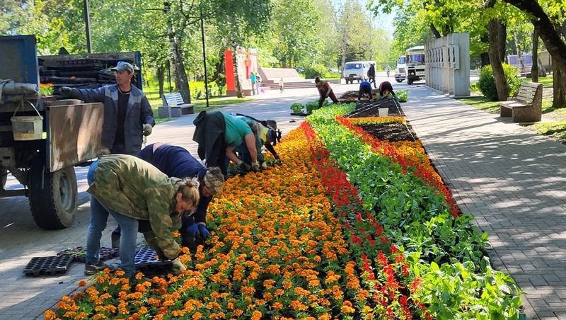 Около 400 подвесных кашпо с цветами украсят Ставрополь летом