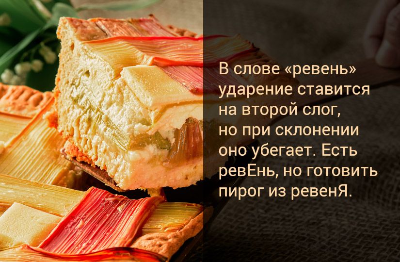 Ответили на пять популярных вопросов о ревене: как он стал русским и полезным4