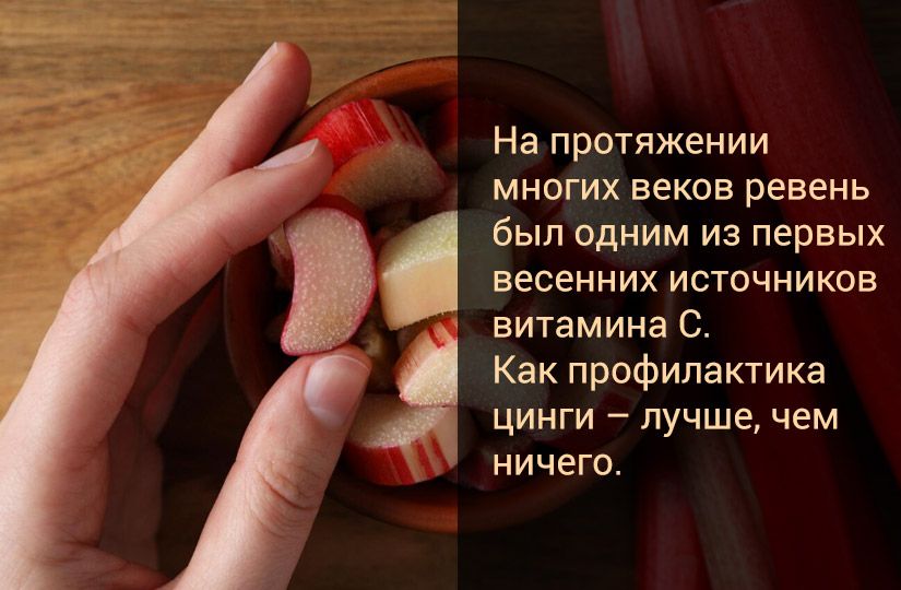 Ответили на пять популярных вопросов о ревене: как он стал русским и полезным1