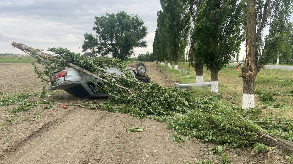 Пьяный водитель не справился с управлением и снес дерево на Ставрополье0