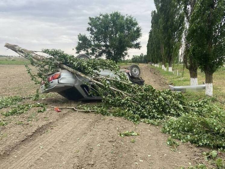 Пьяный водитель влетел в дерево на Ставрополье