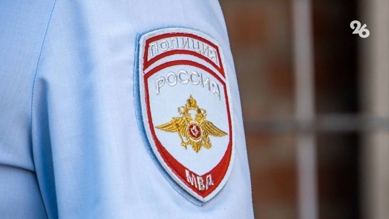 Ставропольчанка, ударившая полицейского, заплатит 45 тыс. рублей штрафа