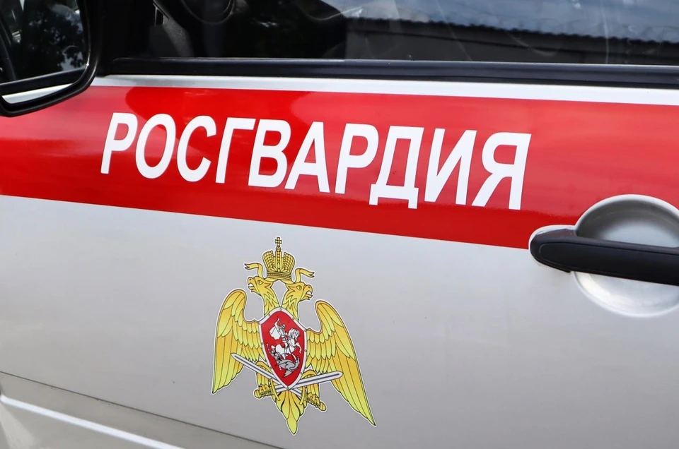 Ставропольские росгвардейцы спасли пострадавшую в аварию женщину0