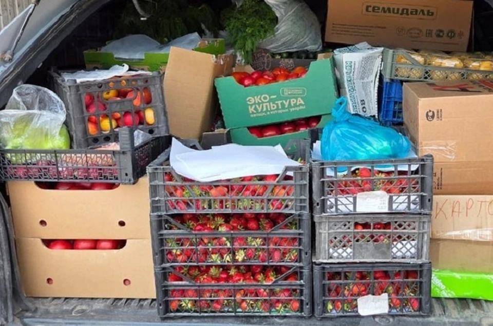 Свыше 400 кг фруктов и овощей передали ставропольские казаки в зону спецоперации0