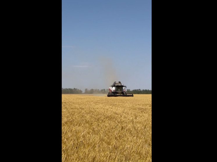 В Кировском округе аграрии убрали более 10% зерновых культур