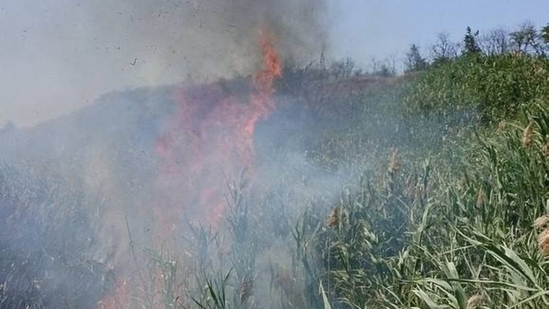 В Кочубеевском округе пожарные борются с возгоранием сухостоя