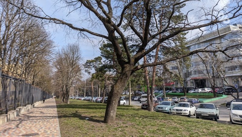 В Ставрополе переименовали улицу в честь погибшего участника СВО Назара Енина