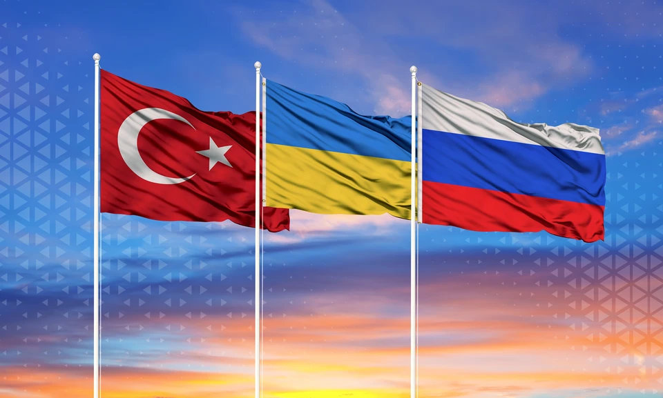 В Турции назвали основную роль Анкары для переговоров между РФ и Украиной: «не допустить европейцев»0