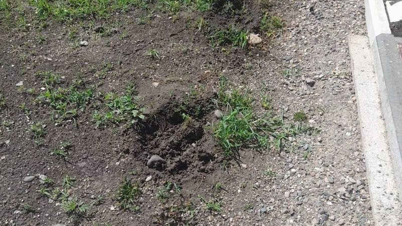 Вандалы разорили памятник героя РФ на кладбище в Кировском округе