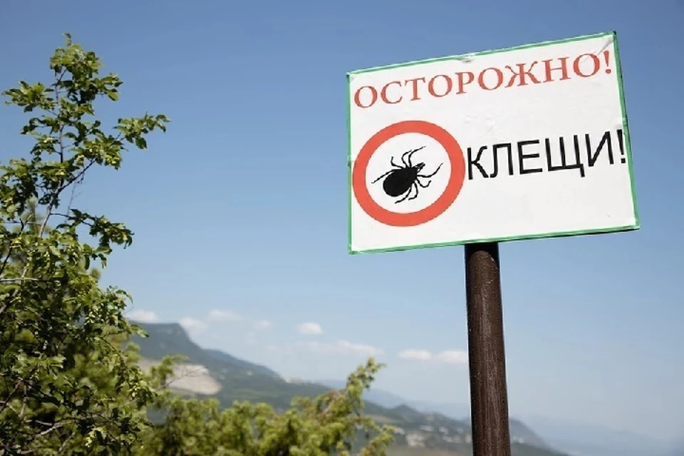 За неделю клещи покусали 325 жителей Ставрополья0