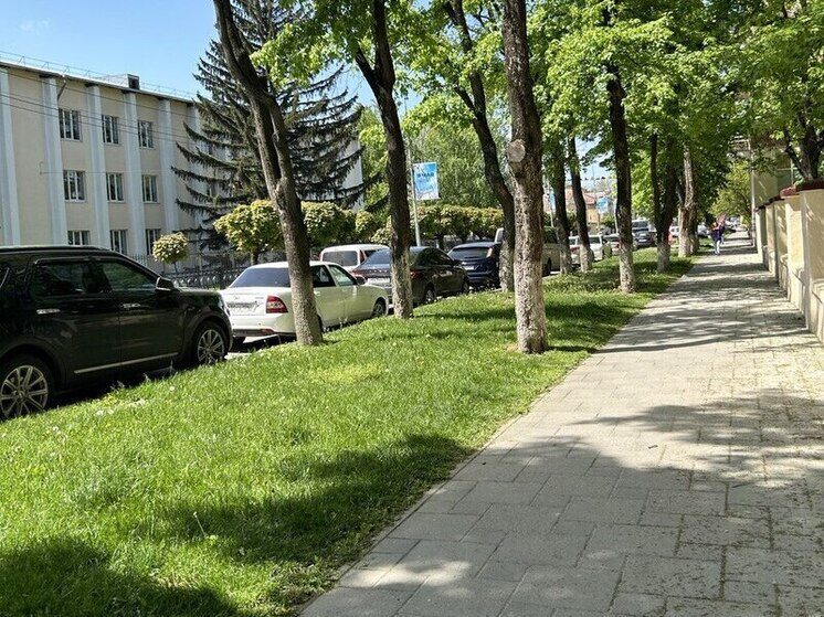 За неделю клещи покусали 420 жителей Ставрополья
