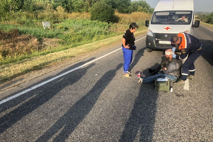 Байкер на «Харлей Дэвидсон» попал в аварию с кабаном под Минводами1