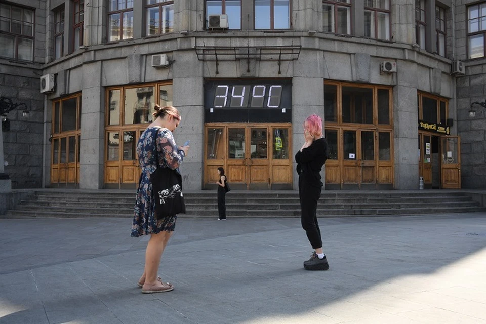 Бастрыкин заинтересовался делом о гибели ставропольчанки на субботнике0
