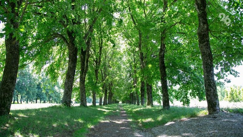 Более 280 км прибрежных территорий Ставрополья очистили по нацпроекту