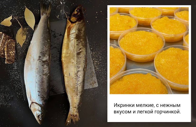 Десять вкусов одной страны: какие съедобные сувениры привезти из отпуска по России6