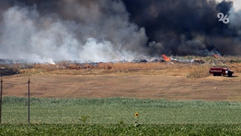 Девочка-подросток подожгла сухую траву, устроив пожар в Советском округе