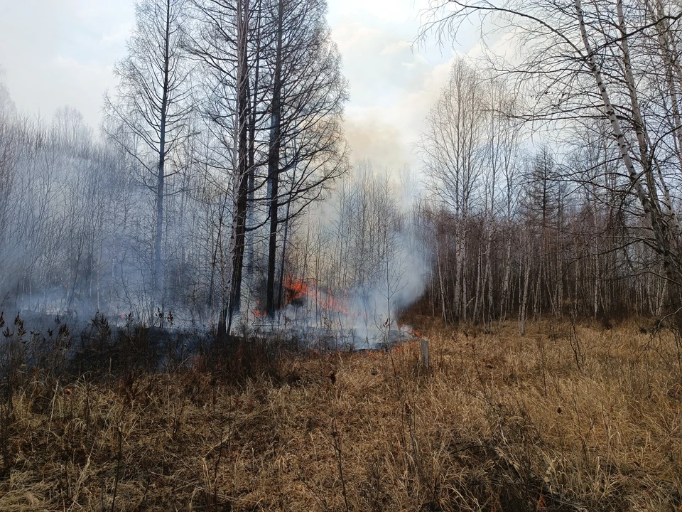 Два гектара сухой растительности горят в Шпаковском округе Ставрополья0