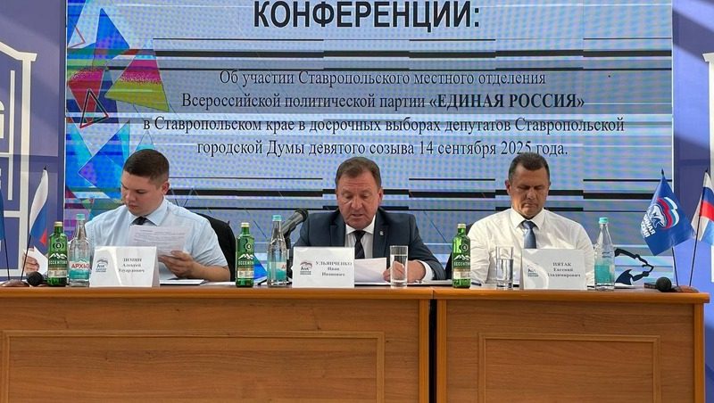 Единороссы Ставрополя обсудили подготовку к досрочным выборам в гордуму