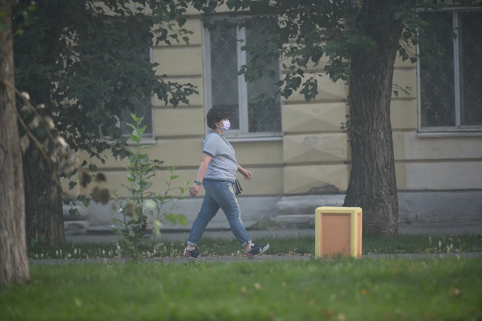 Главы городов Ставрополья ответили на жалобы местных жителей по поводу смога0