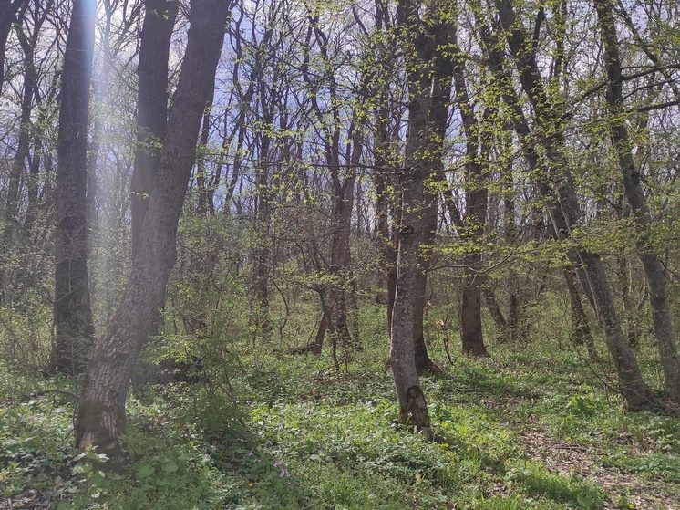 Гору Дубровку на Ставрополье взяли под охрану