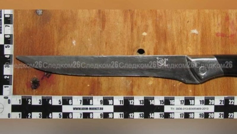 Мать убила сына во время пьянки в Будённовском округе