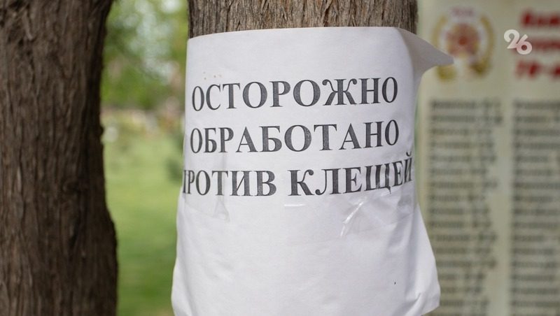 На Ставрополье зафиксировали 10 случаев крымской лихорадки после укуса клещей