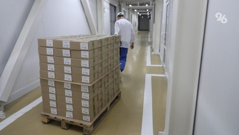 Объём экспорта продукции Ставрополья превысил 200 тыс. долларов США