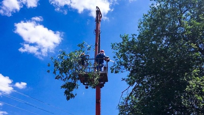 Почти 80 га трасс ЛЭП расчистили на Ставрополье