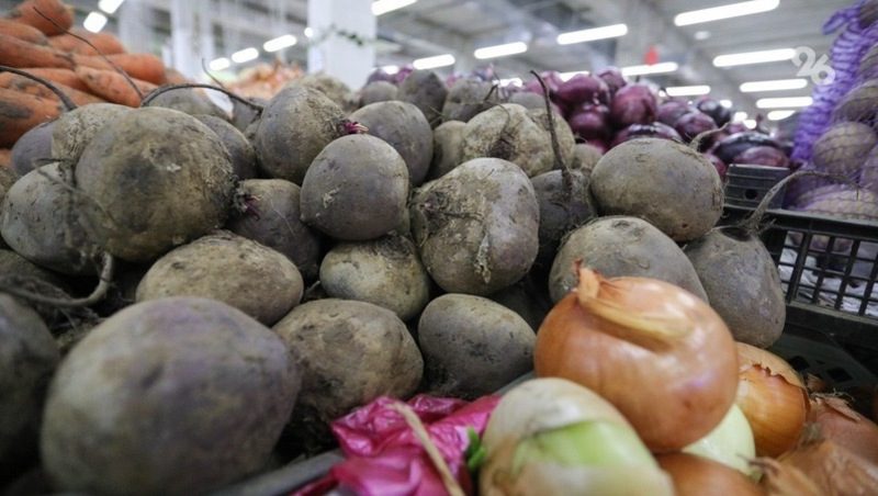 Почти на 9% подешевела капуста на Ставрополье