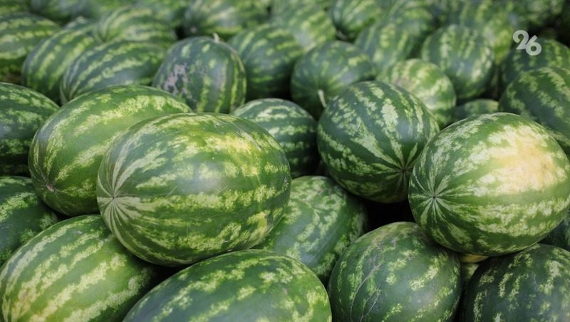Покупать разрезанные арбузы опасно для здоровья — врач-диетолог