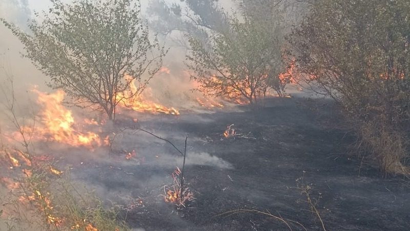 Пожарные два часа тушили гектар горевшей в Шпаковском округе травы