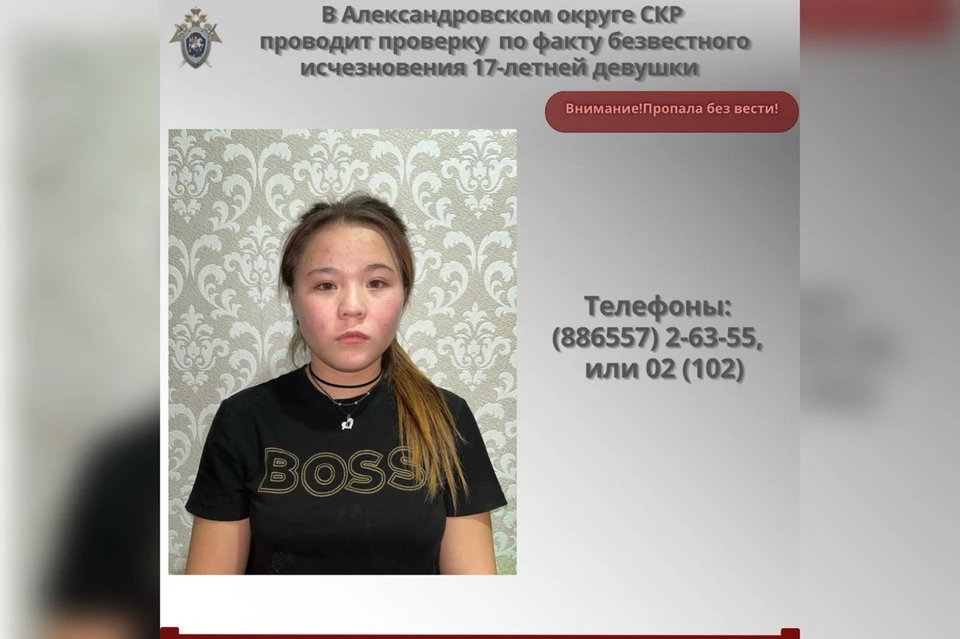 Пропавшую 17-летнюю девушку ищут в Александровском округе Ставрополья0