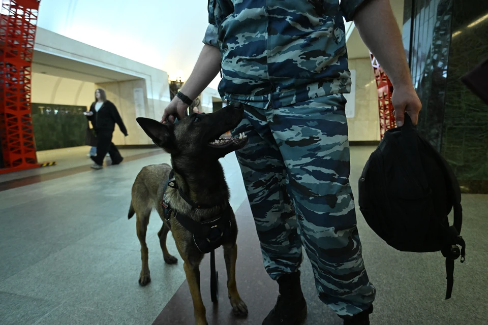 Ряд запретов ввели в Северной Осетии из-за угроз покушения на военных0