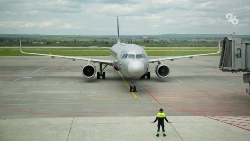 Самолёт столкнулся с птицей на пути в Минводы