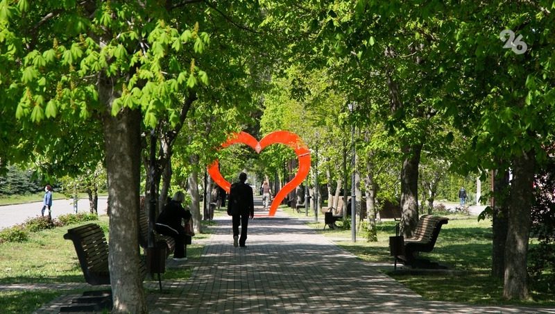 Сквер семьи благоустраивают в Невинномысске