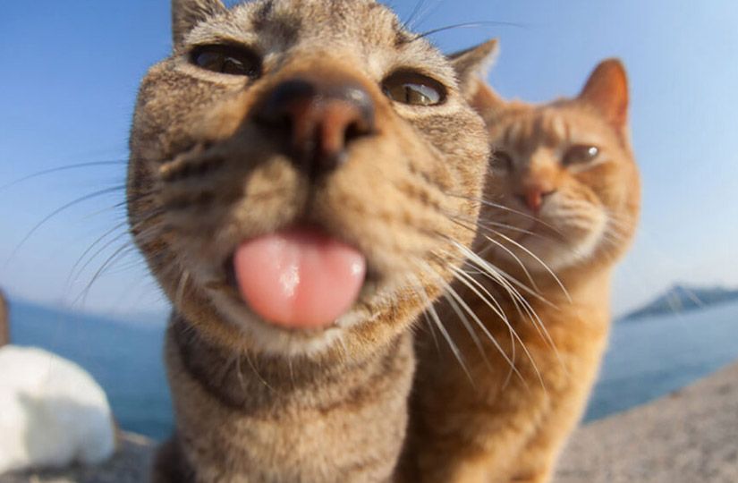 Слиться с местными: четыре привычки, которые выдают туриста на юге3