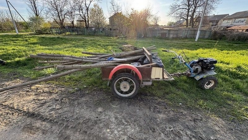 Ставрополец попал под уголовную статью за вырубку 10 акаций в лесополосе