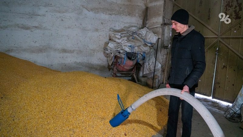 Ставропольская мама в декрете стала мастером маникюра и заключила соцконтракт