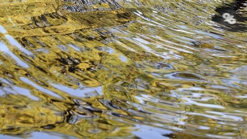 В Кисловодске расчистят русло реки Белой до конца года