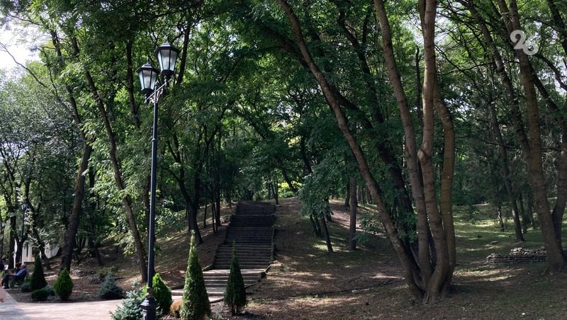 В Курортном парке Ессентуков на тротуар упало дерево