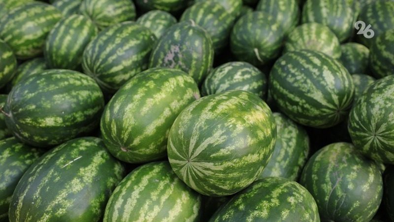 В Роскачестве рассказали, как выбрать спелый арбуз
