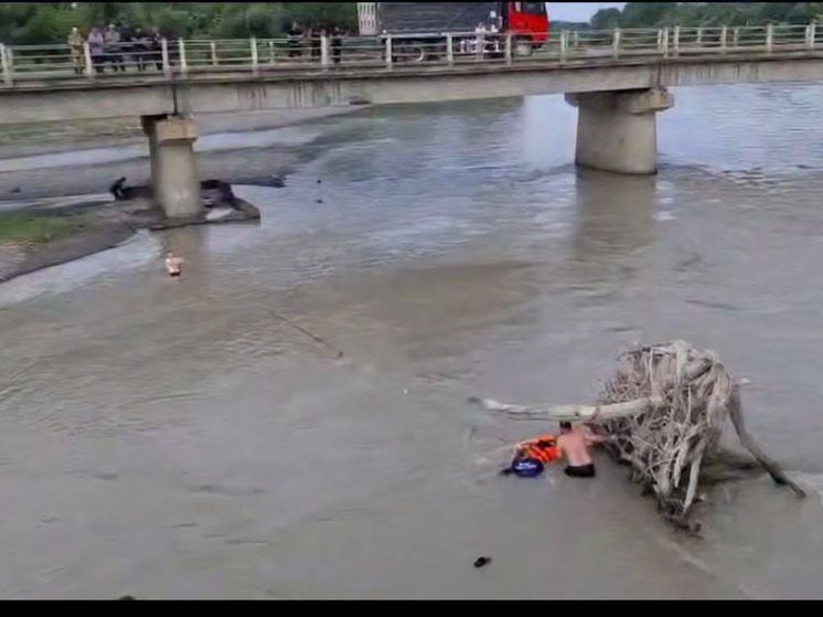В Северной Осетии пенсионерка упала в воду во время прогулки с собакой