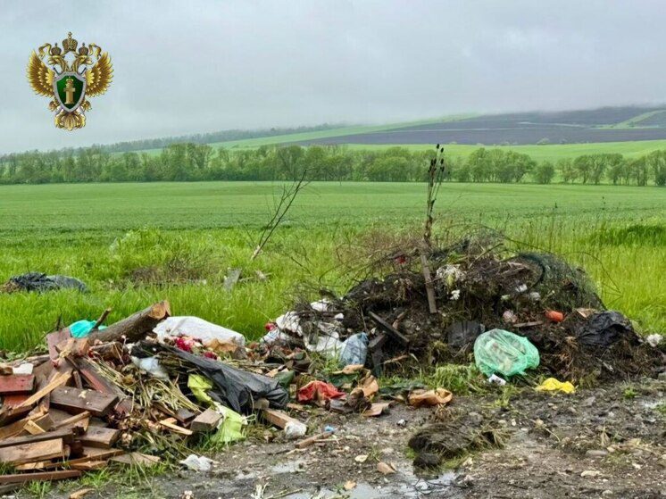 В станице Ессентукской после прокурорской проверки ликвидировали свалку