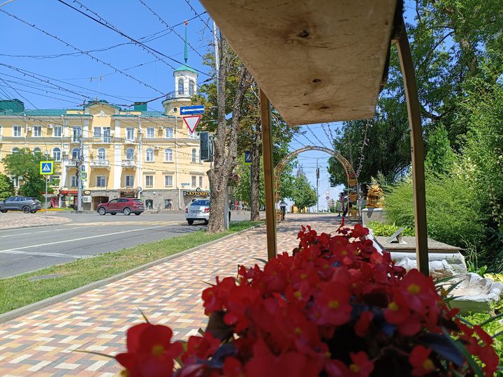 В Ставрополе в условиях аномальных температур озеленители спасают растения  Ставрополь (Кавказ)1