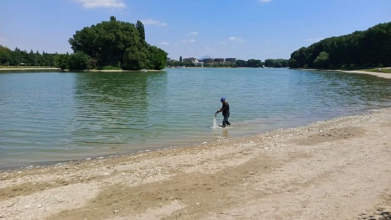 В воде ессентукского озера растворили более 300 кг извести