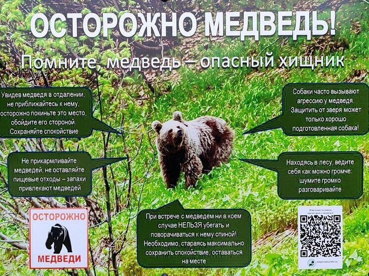 В заповеднике и нацпарке Северной Осетии запретили ночёвки в палатках из-за медведей