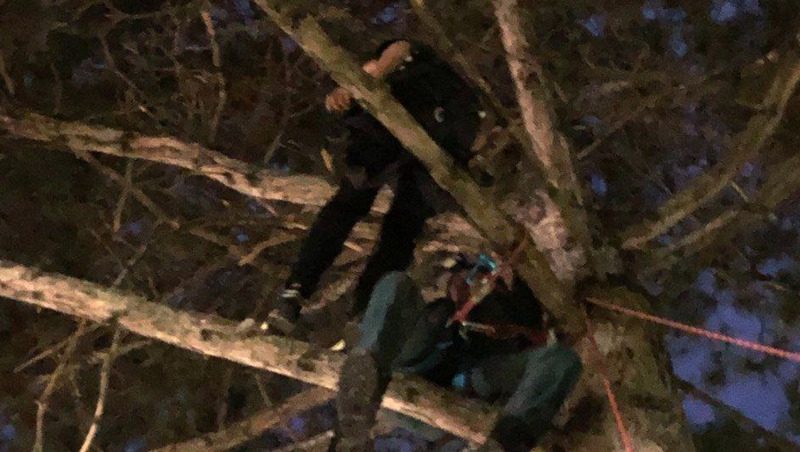 Забравшегося на дерево школьника сняли спасатели в Кисловодске