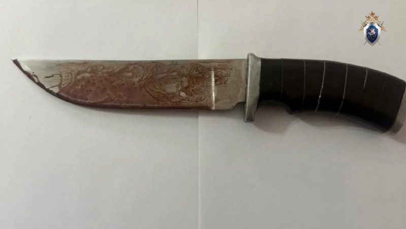 Жителя Курского округа обвиняют в убийстве знакомого ножом