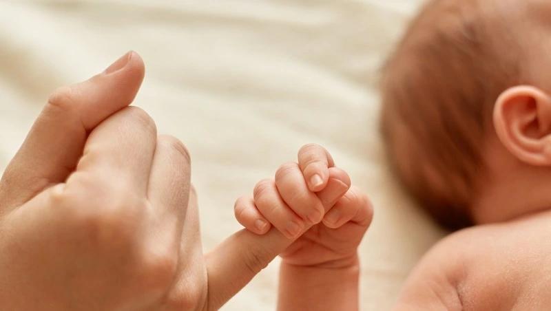 Афина, Августина и Лука родились в Железноводске с начала 2025 года
